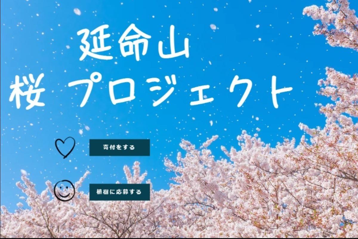【クレジット決済専用ページ】延命山　桜プロジェクトの画像