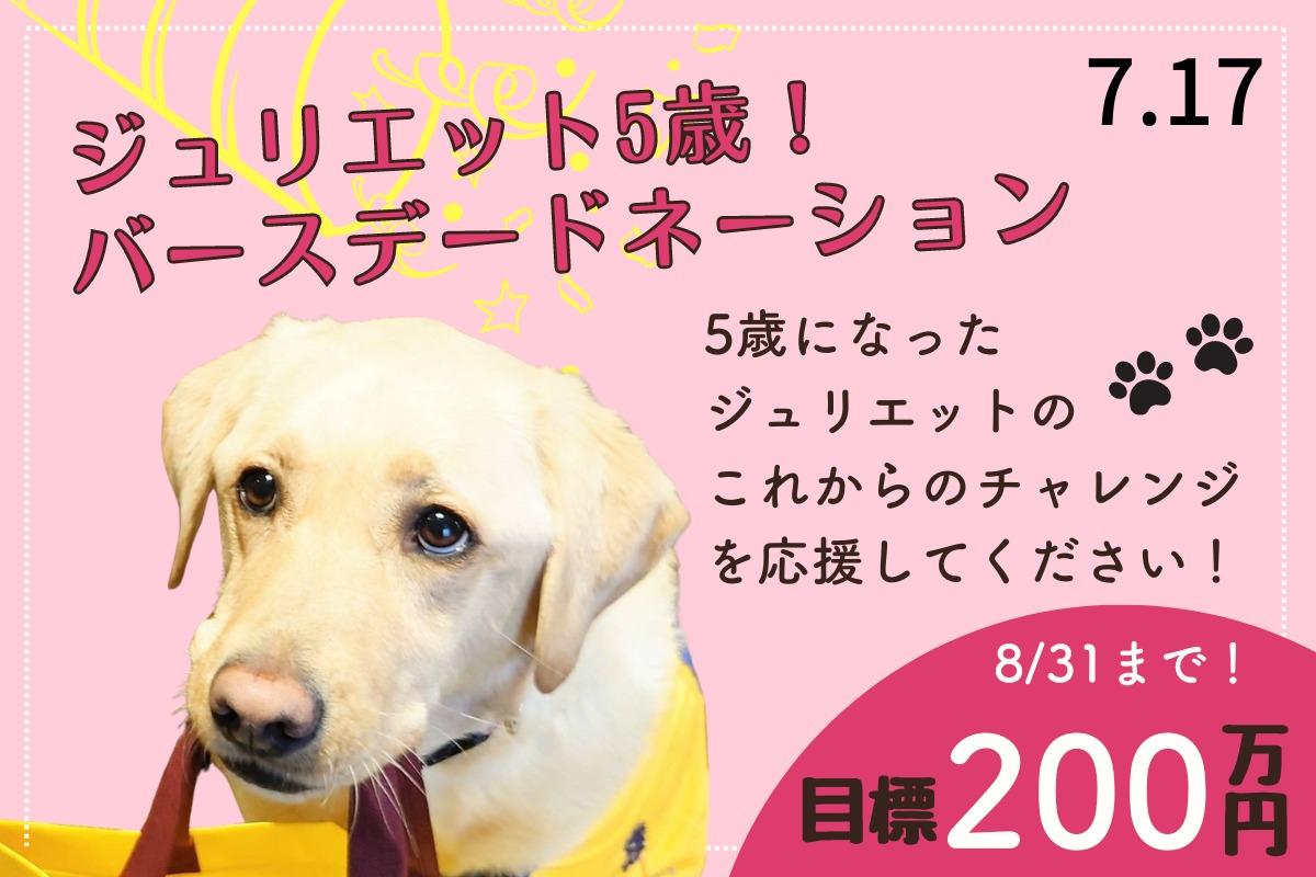 【祝5歳】子ども病院にファシリティドッグの癒しを届けたい！中村先生と介助犬ジュリエットの新たな挑戦を応援してください！の画像