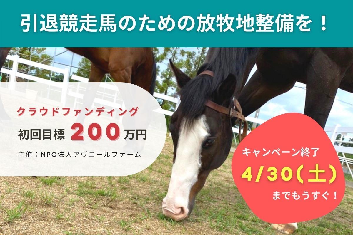 引退競走馬のための放牧地整備を！馬一頭一頭がしあわせな余生を過ごせる未来を目指しての画像