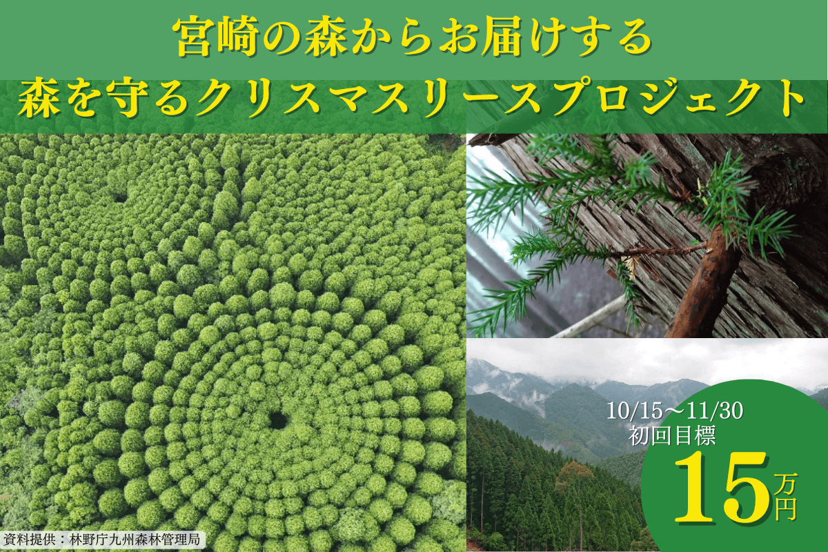 【九州】宮崎県美郷町の森から未来の子どもたちに繋ぐ 2026年森を守るクリスマスリースプロジェクト Image