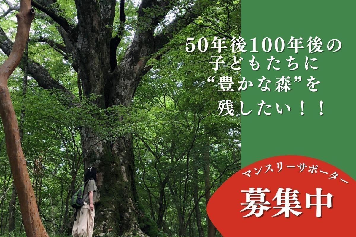 子どもたちに 豊かな森を残したい！！自然環境や日本の森の事を学ぶ機会を作り、森林保全の意識を高めていく活動に賛同してくれるマンスリーサポーターを募集していますの画像