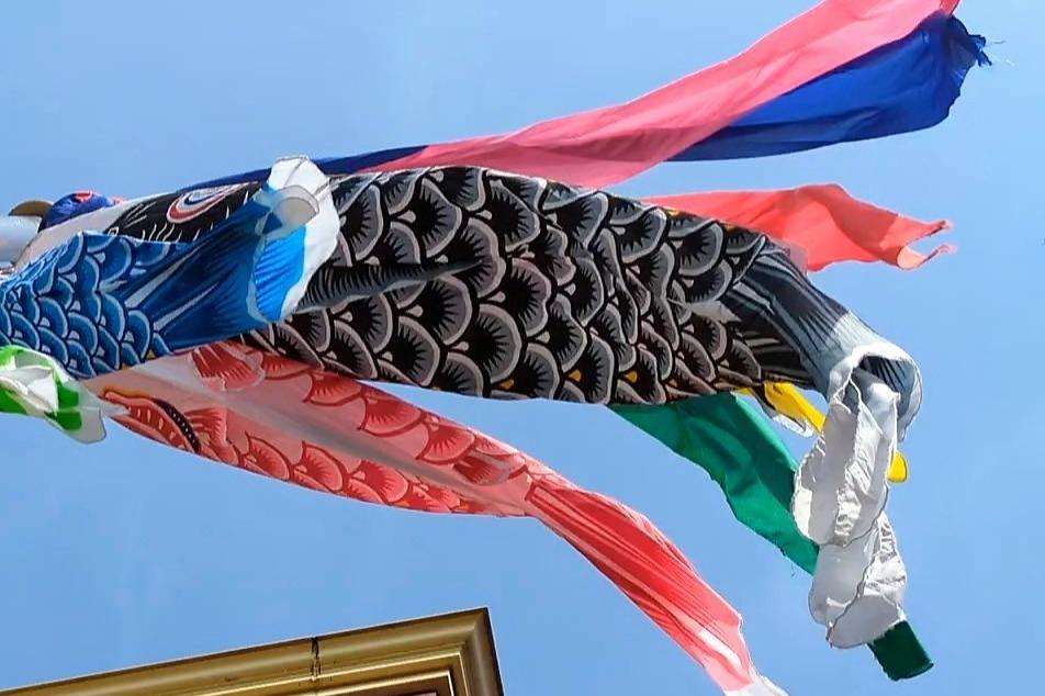 児童養護施設で生活する高校生のためにスマートフォンの購入費用をご支援くださいの画像