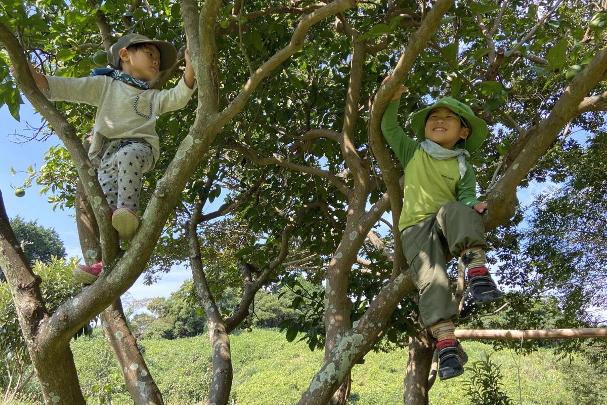しずおか すべてが僕らの遊び場！バスを利用して 現状の課題解決とこども達の自然の中での毎日をもっと充実させたい！の画像