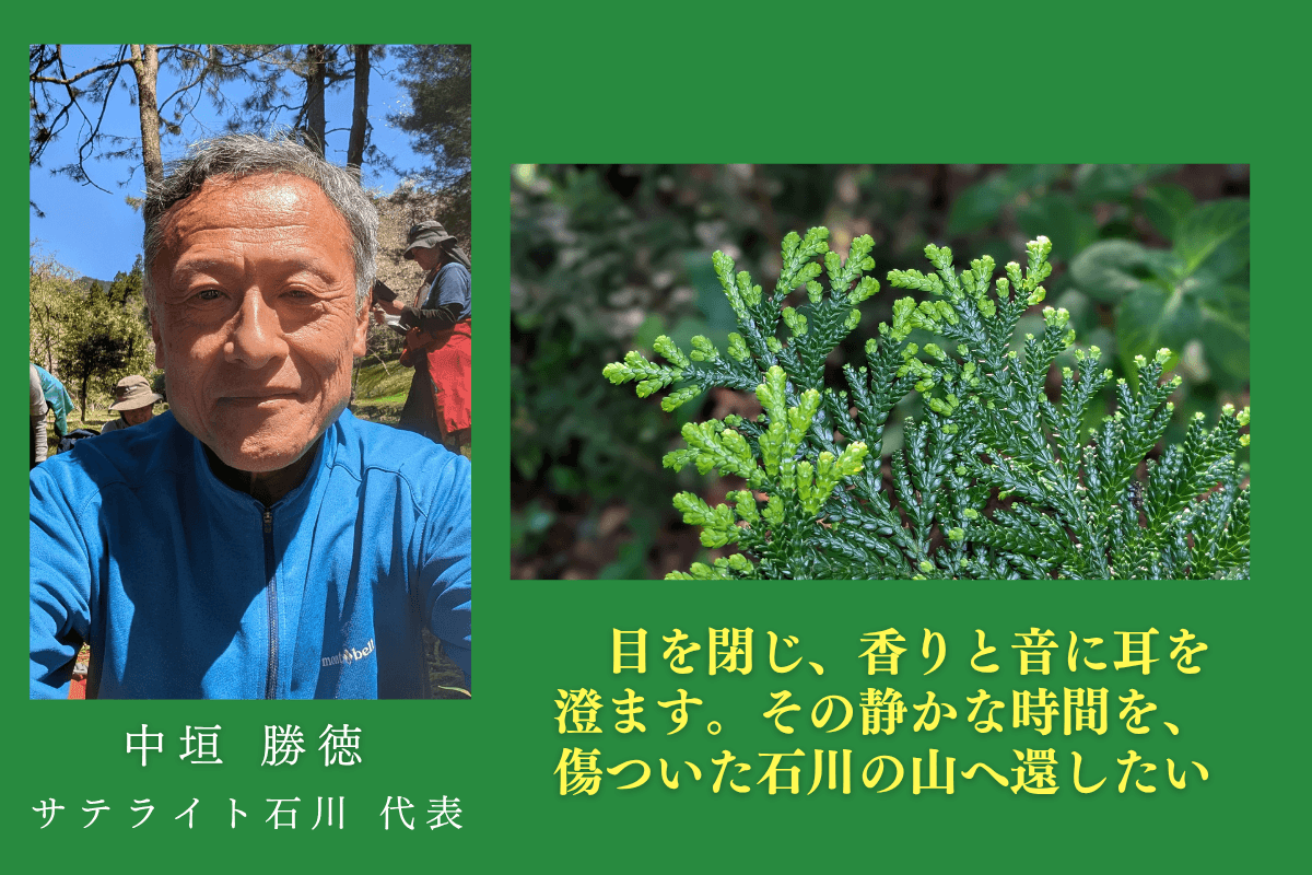 【石川の森応援ページ】50年後100年後の子供たちに豊かな森を残したい!能登・金沢・加賀から届けます!のサポートページです。の画像