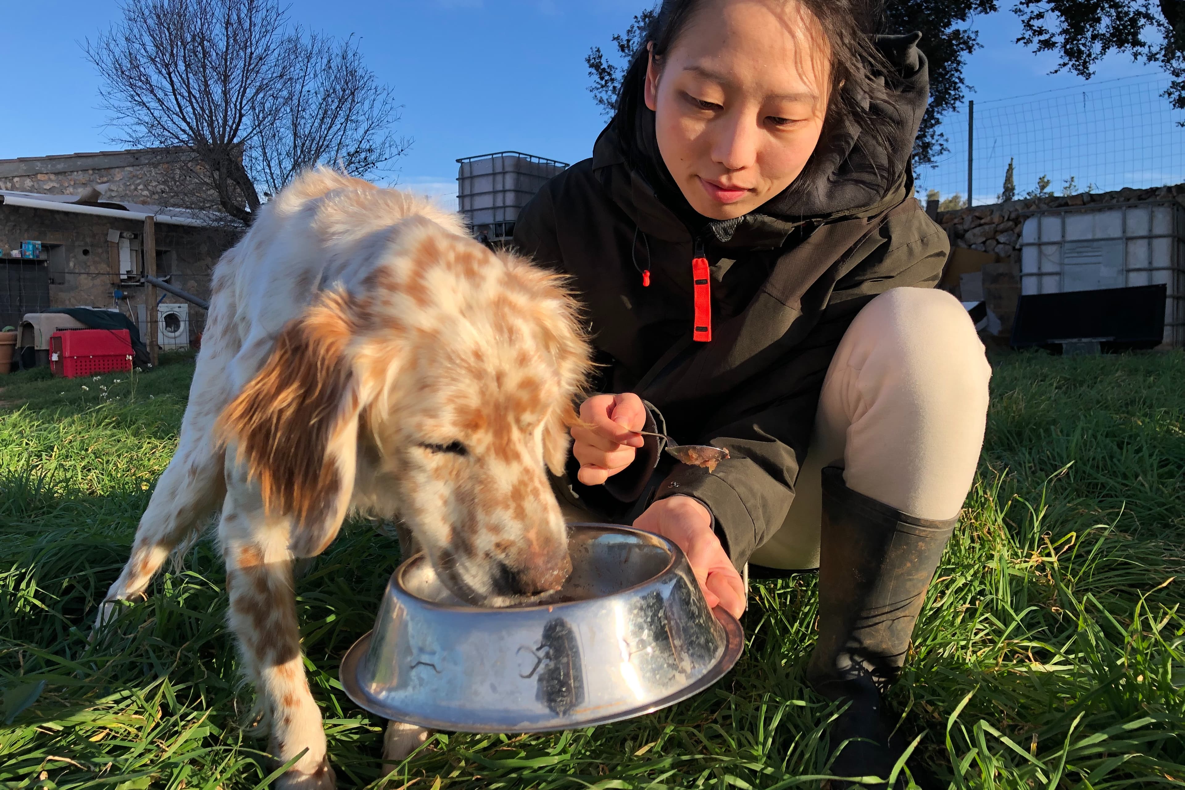 歩みを止めなかった4年間と、これからのこと。動物たちのために、あなたの力を貸してください。の画像