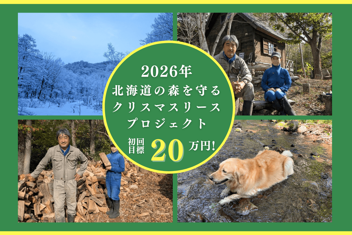 【北海道の森応援ページ】次世代に健全な森を残すため2026年森を守るクリスマスリースプロジェクトの画像