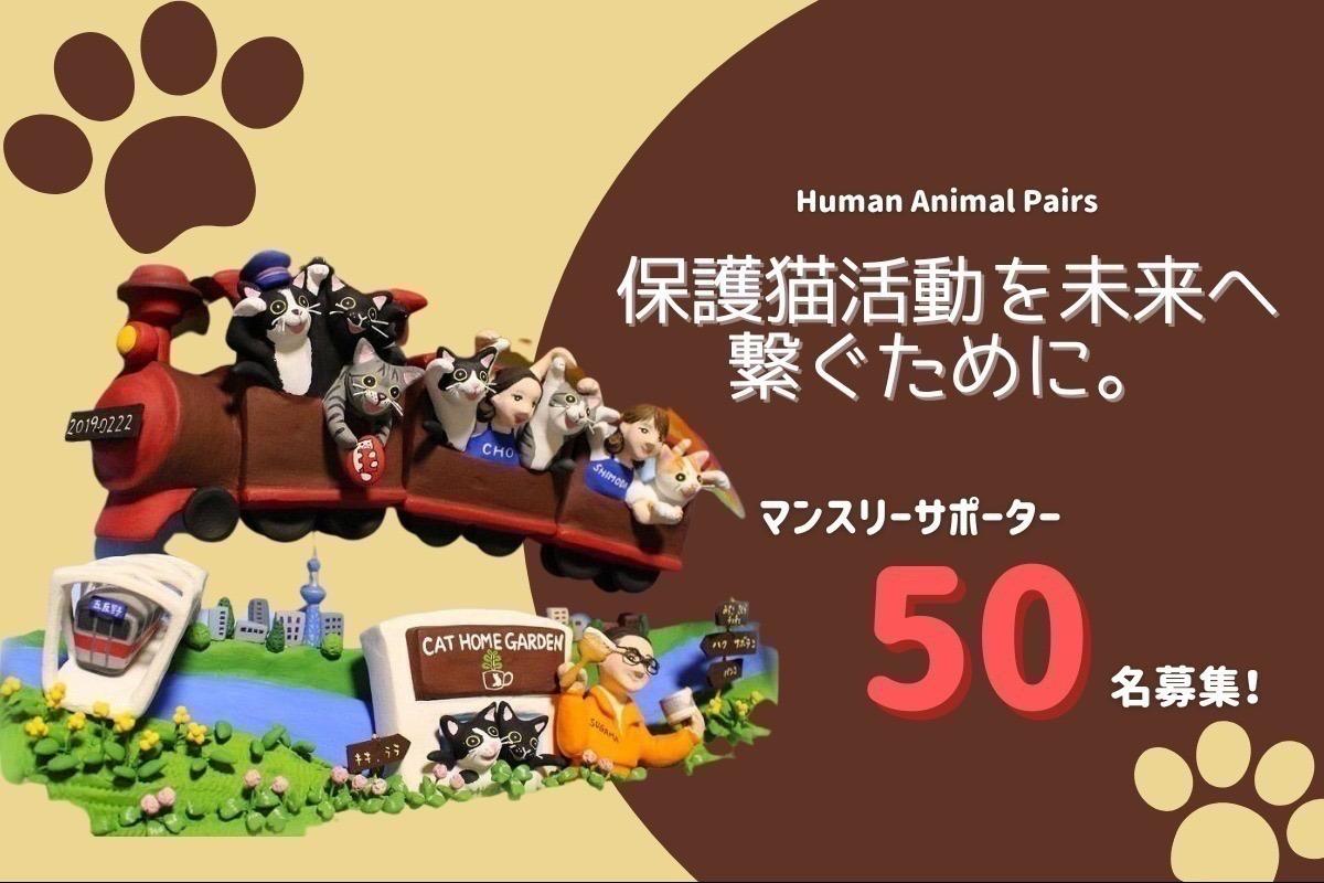 保護猫活動を未来へ繋ぐために。人と猫と地域を結ぶ活動を応援してくれるマンスリーサポーター50名募集！の画像