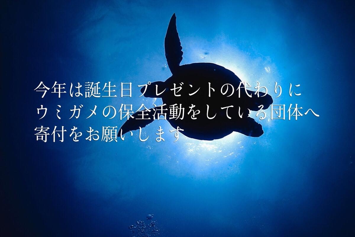 HANAKO32歳になりました。の画像