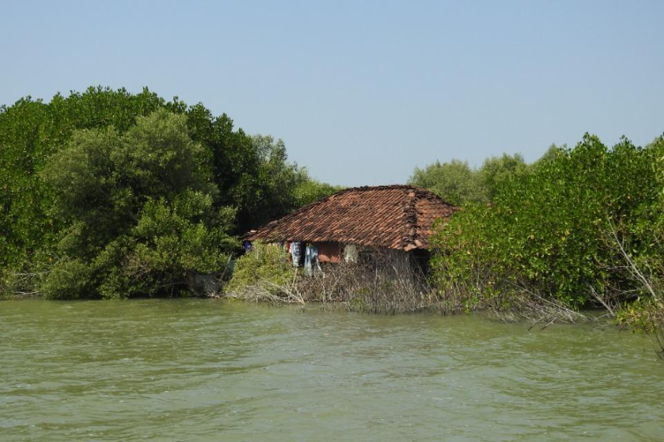 Past Activities Image