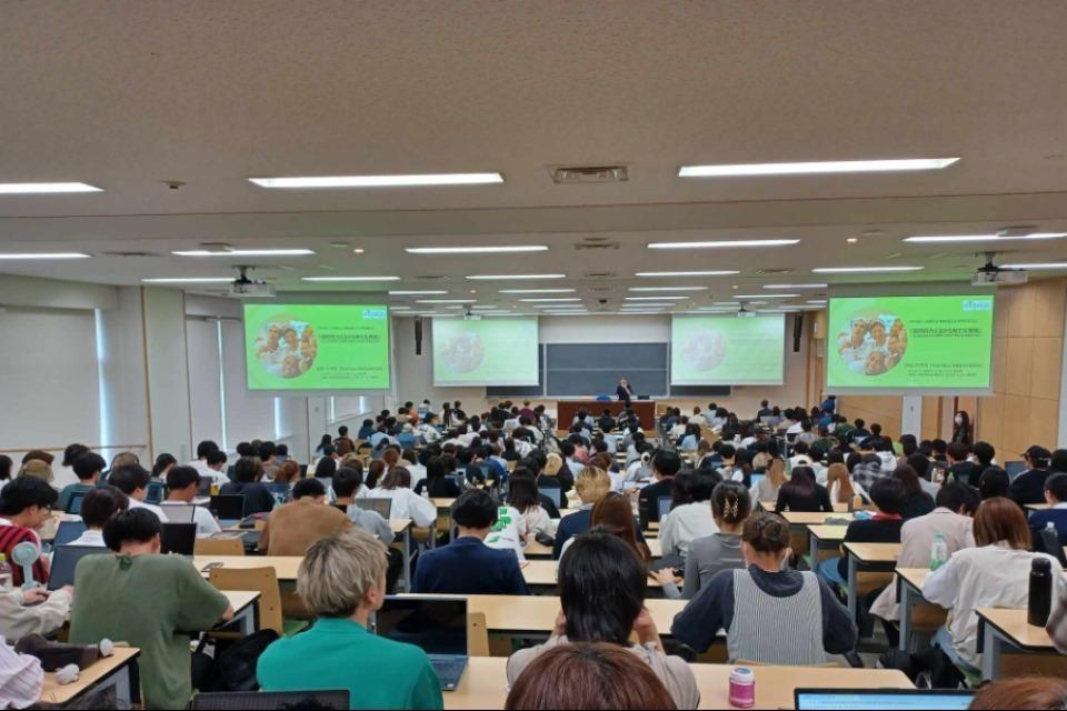 これまでの活動の画像