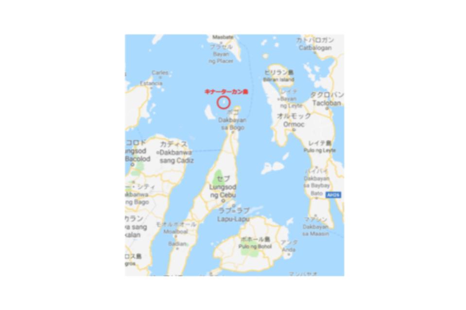 これまでの活動の画像