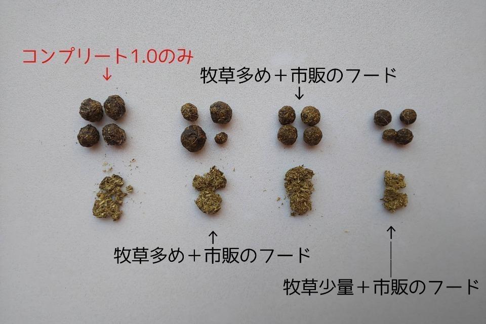 これまでの活動の画像