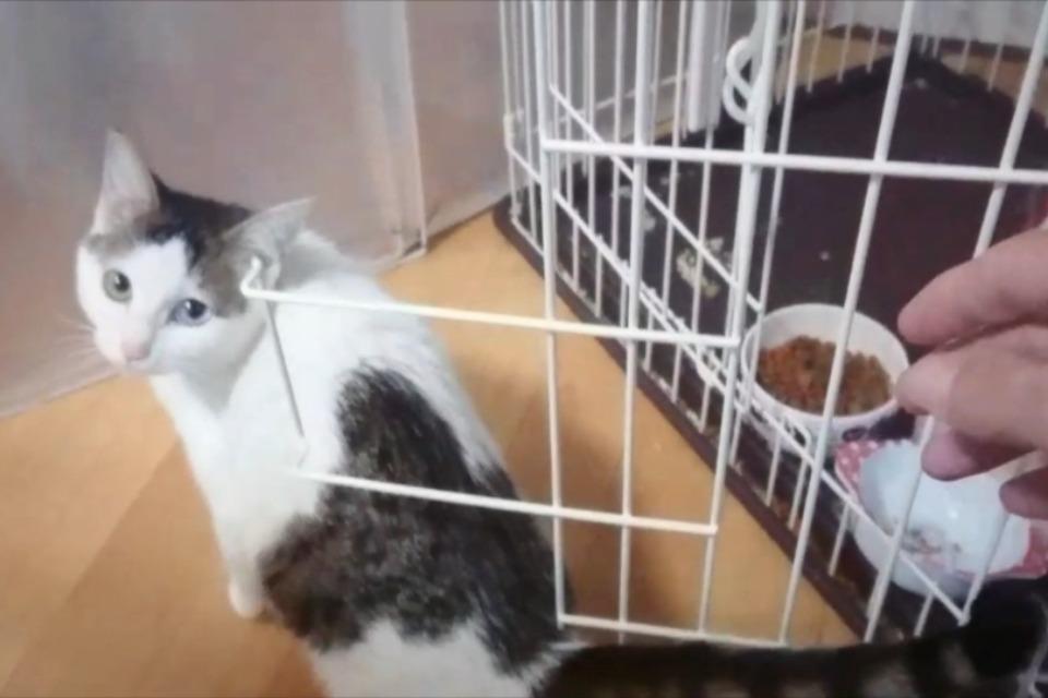 これまでの活動の画像