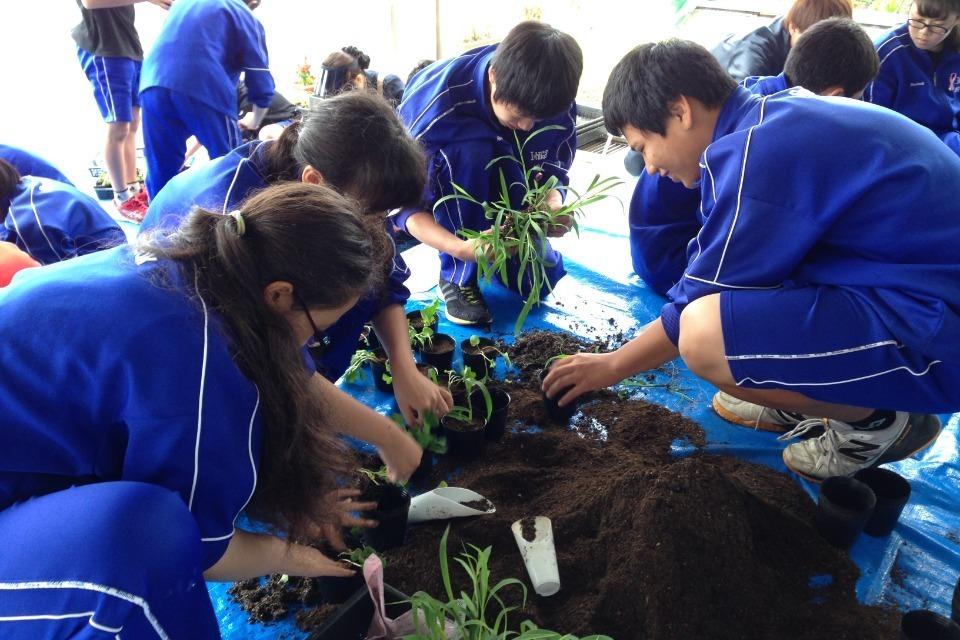 これまでの活動の画像