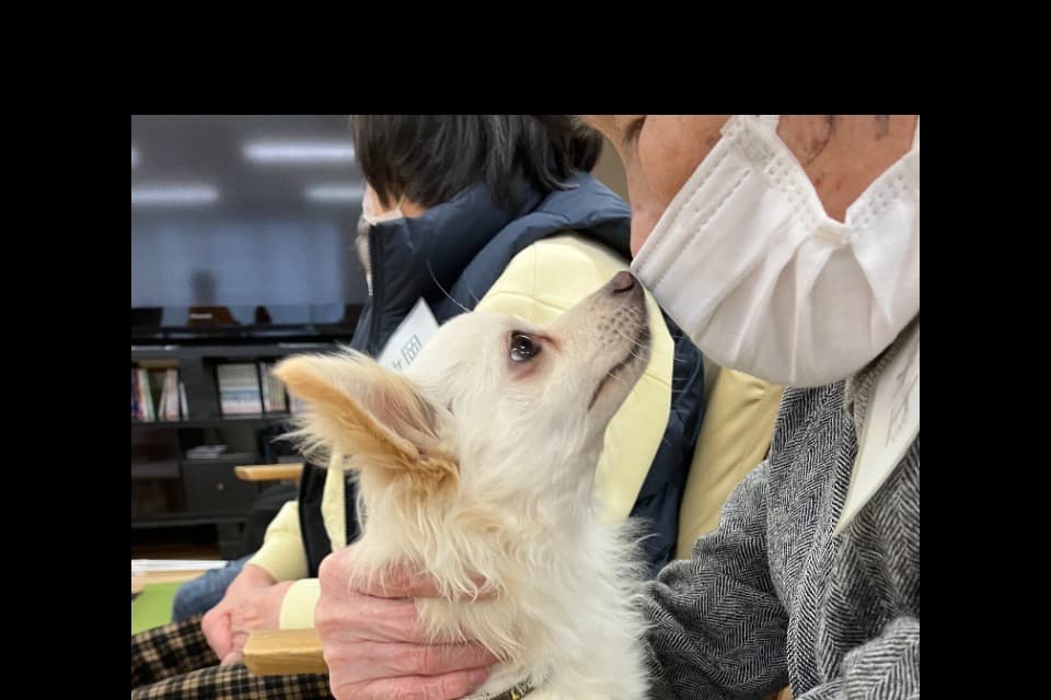 これまでの活動の画像