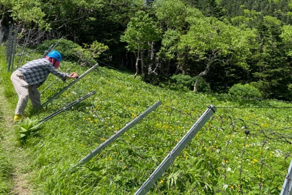 これまでの活動の画像