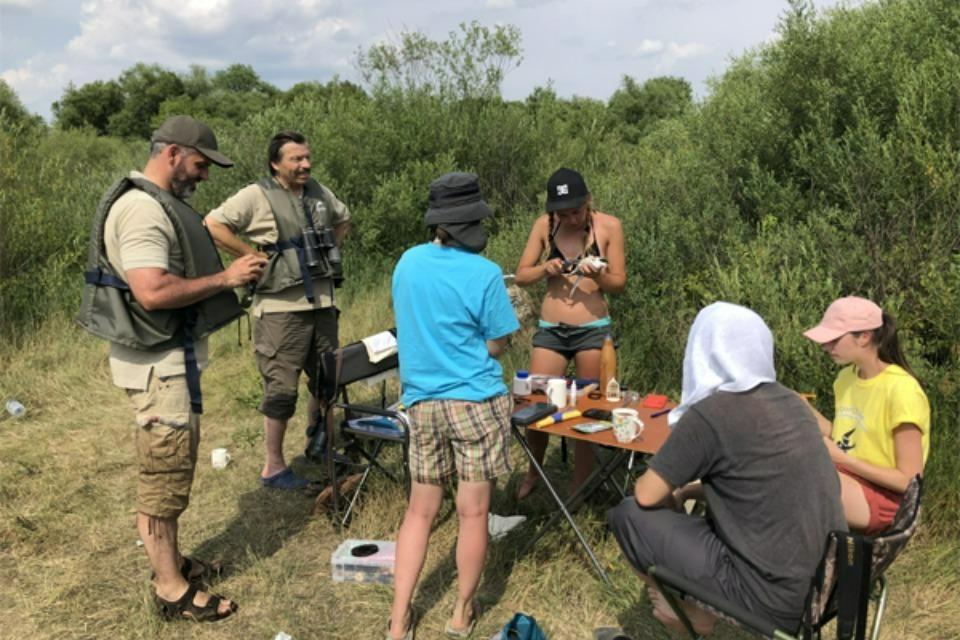 Past Activities Image