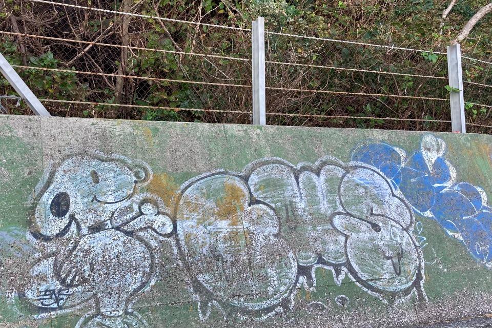 これまでの活動の画像