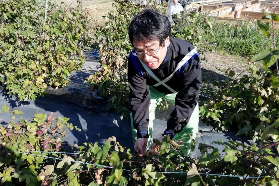 これまでの活動の画像