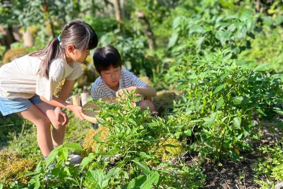 これまでの活動の画像