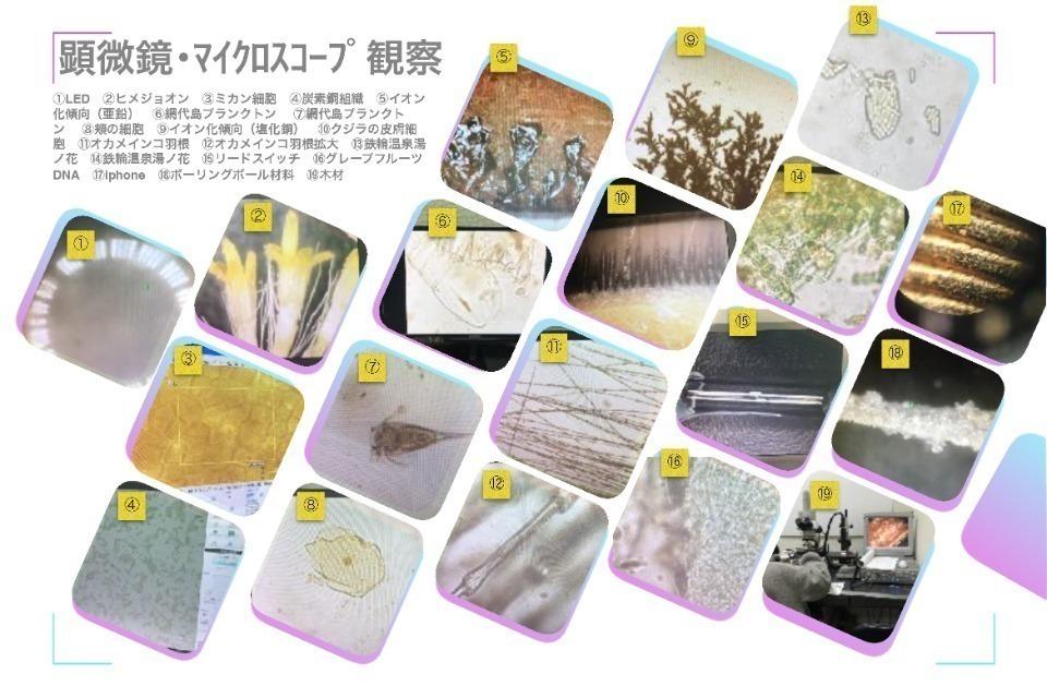これまでの活動の画像