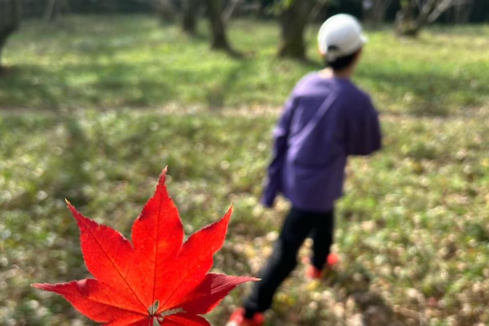 これまでの活動の画像