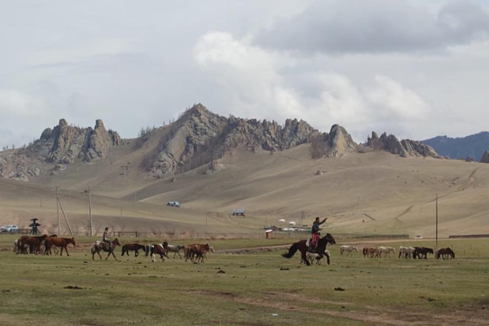 これまでの活動の画像