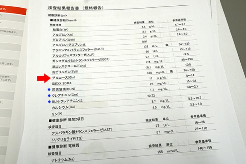 これまでの活動の画像