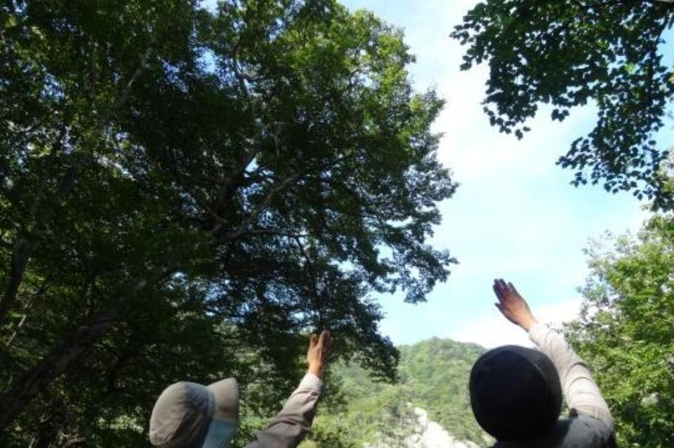 これまでの活動の画像