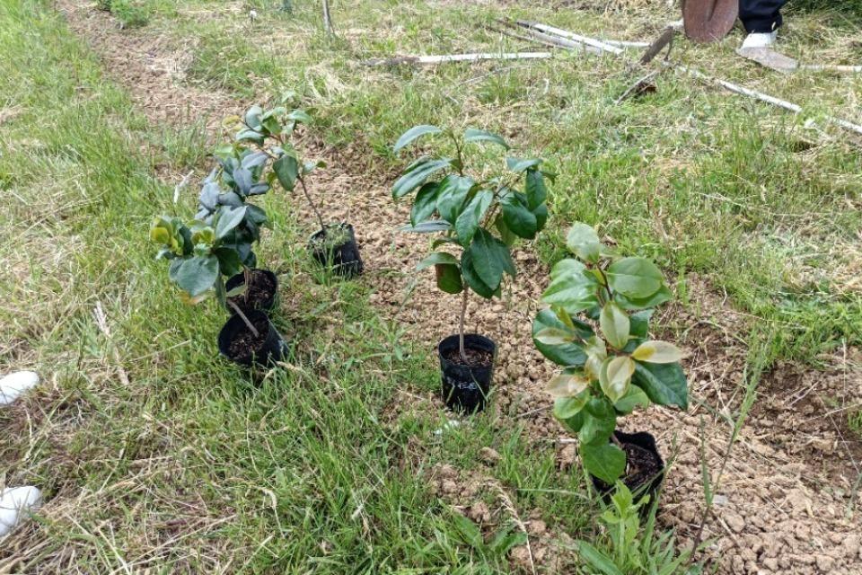 これまでの活動の画像