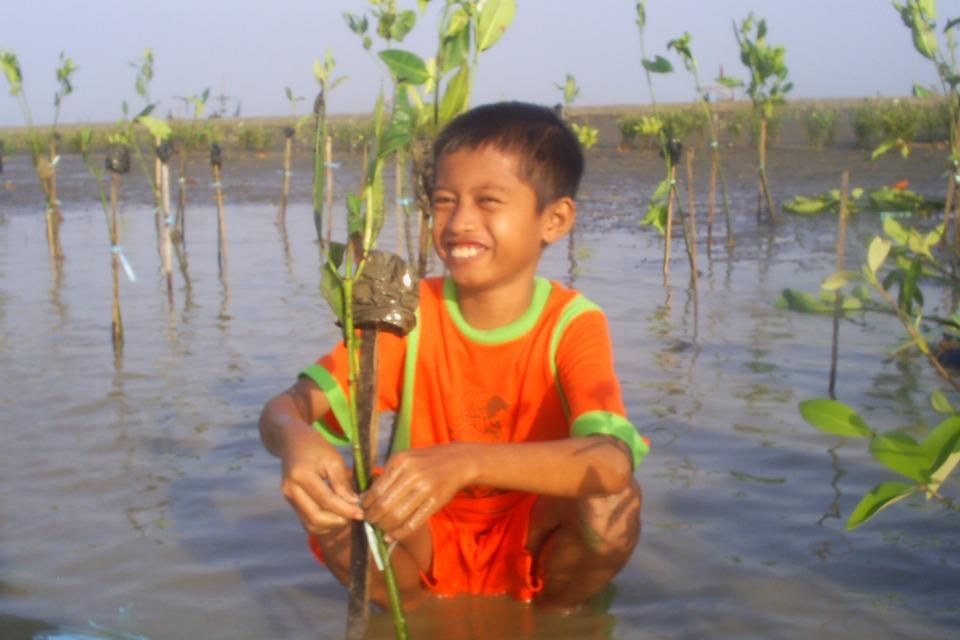 これまでの活動の画像