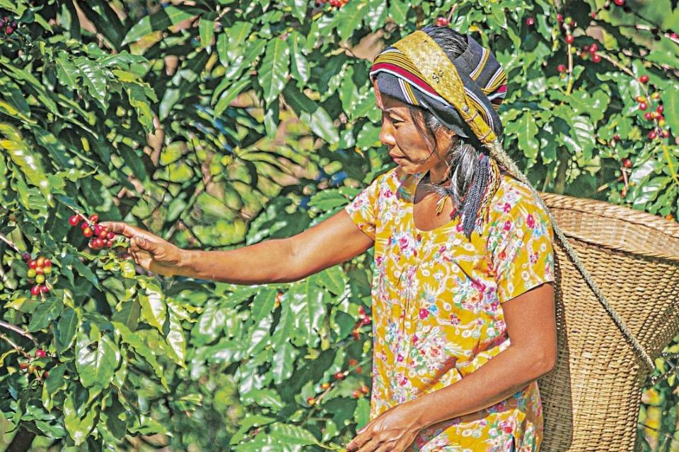 これまでの活動の画像