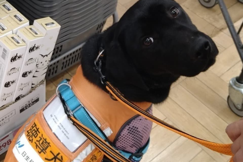 これまでの活動の画像