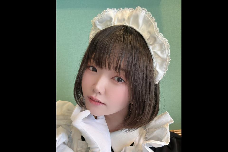 これまでの活動の画像