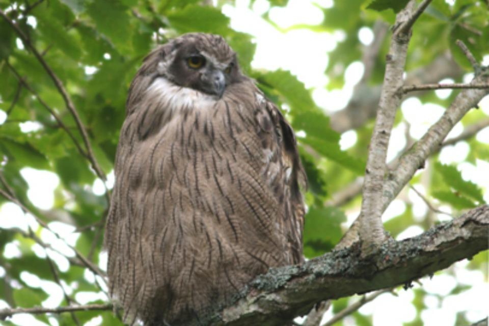 これまでの活動の画像