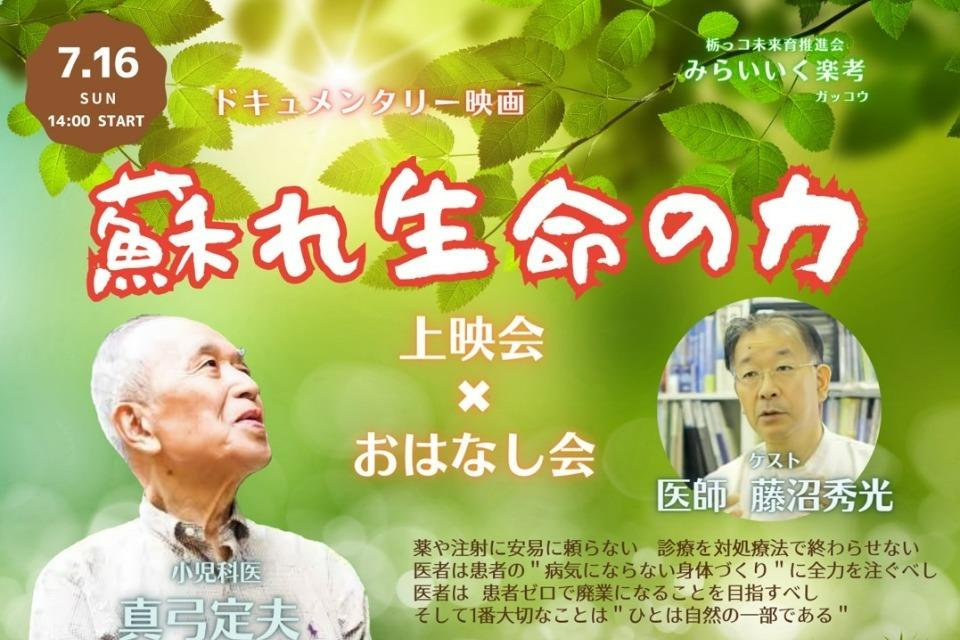 これまでの活動の画像