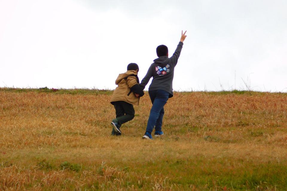 これまでの活動の画像