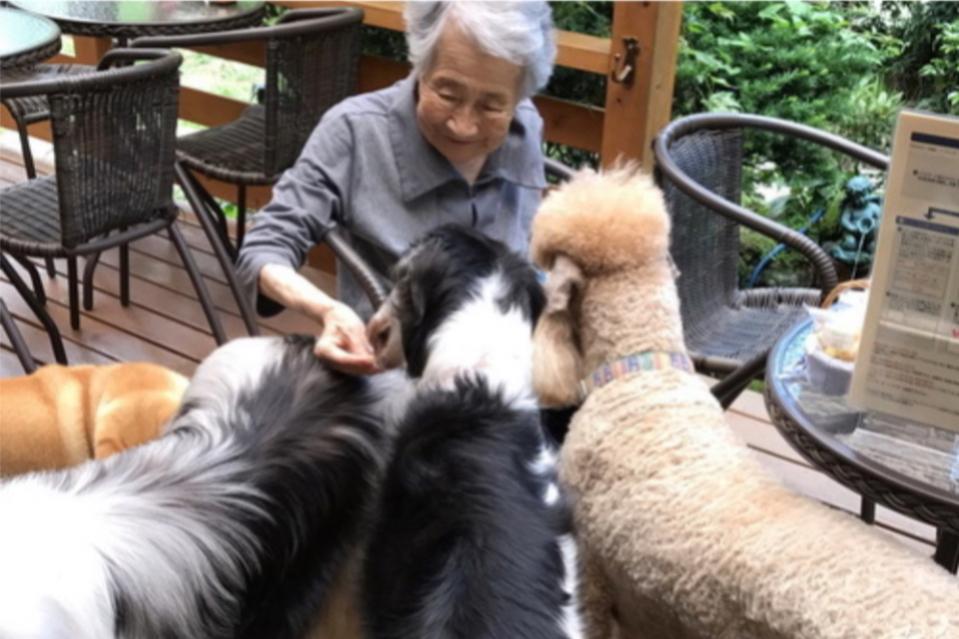 これまでの活動の画像