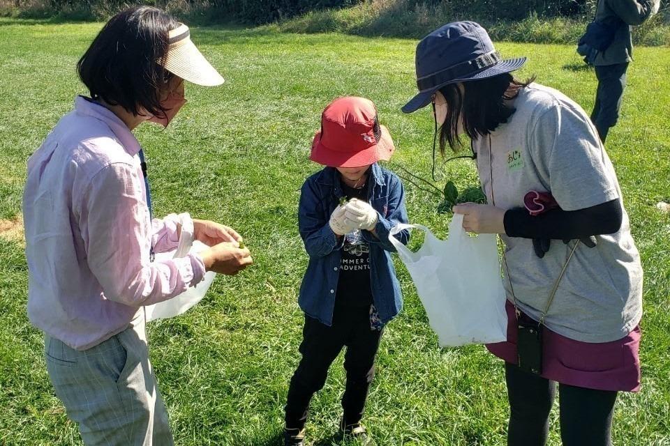 これまでの活動の画像