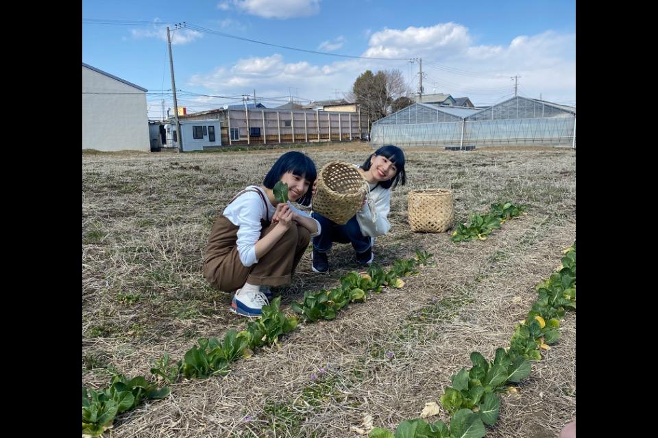 これまでの活動の画像