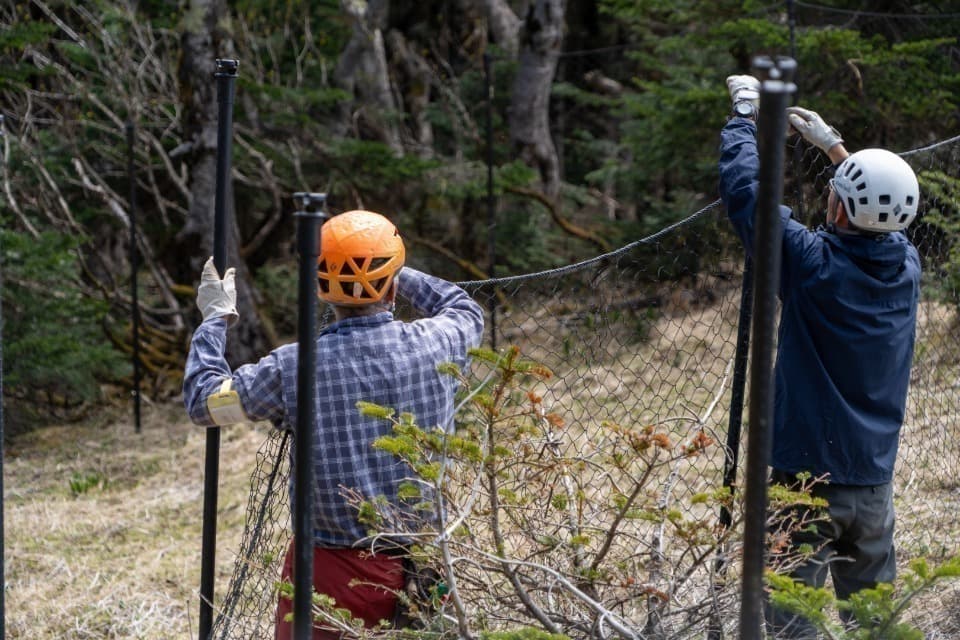 これまでの活動の画像