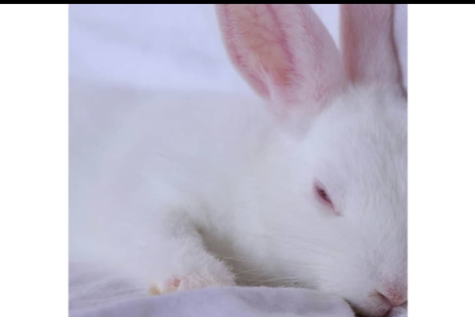 これまでの活動の画像