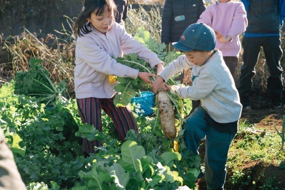 これまでの活動の画像