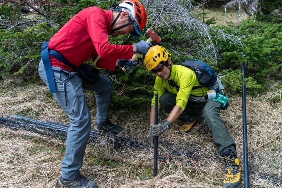 これまでの活動の画像