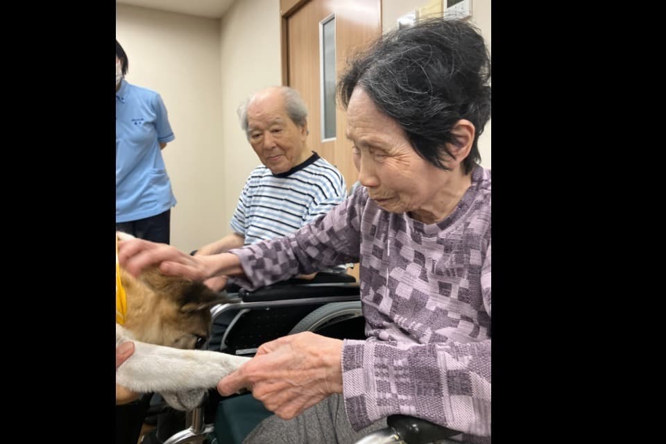 これまでの活動の画像