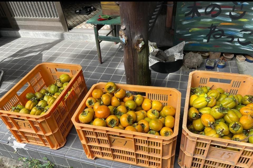 これまでの活動の画像