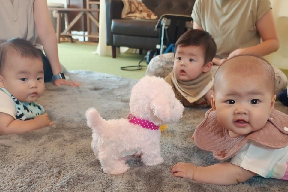 Past Activities Image