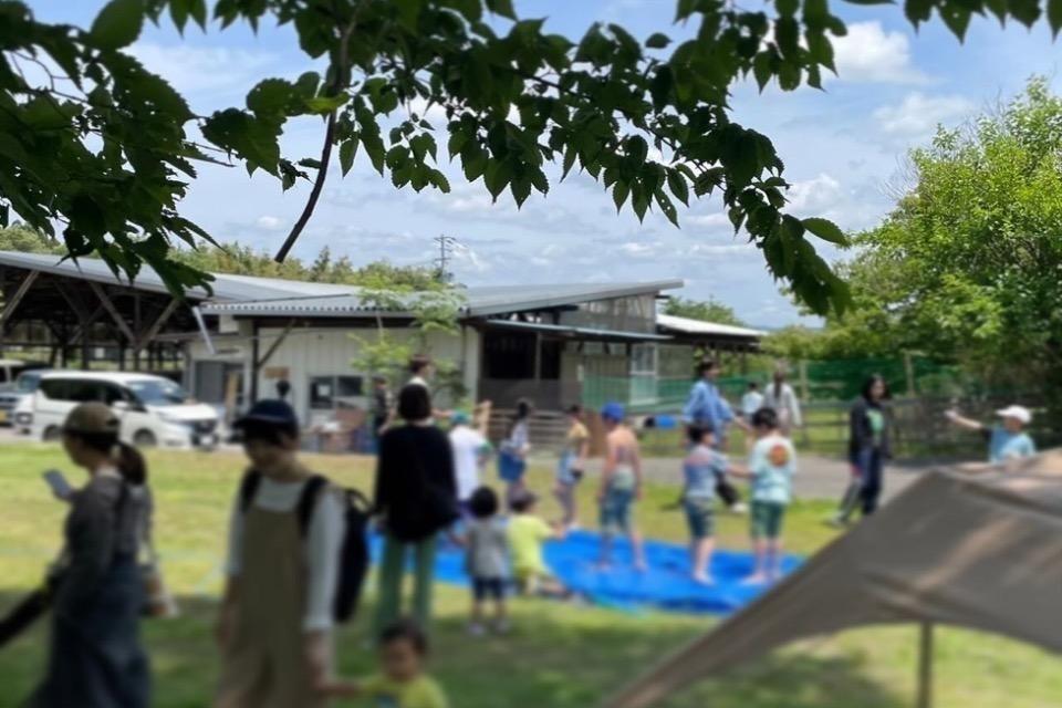 これまでの活動の画像