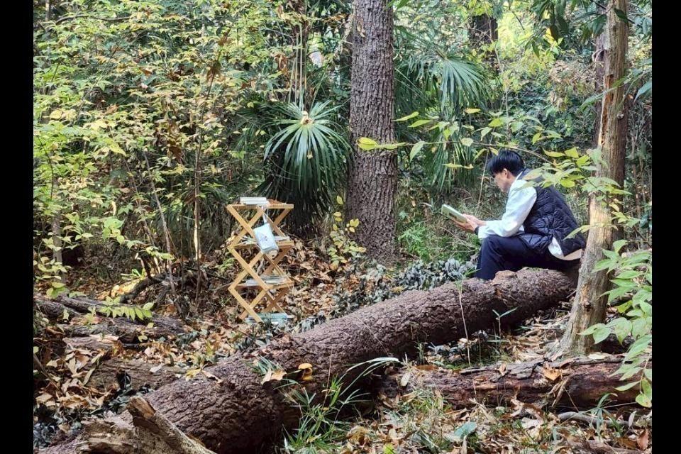 これまでの活動の画像