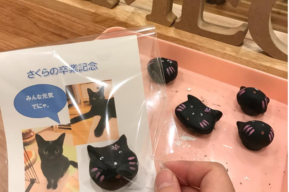 これまでの活動の画像